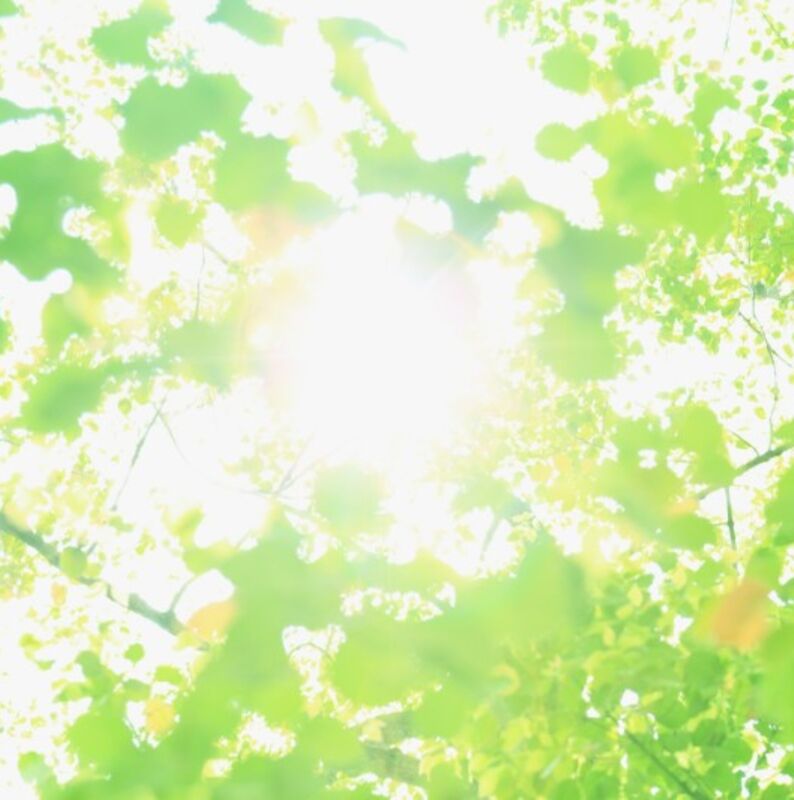 98b42f28abaa397efabf397b5c18a71b_m